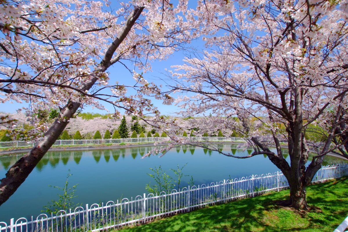 戸田記念墓地公園の写真 ©t-konno(CC BY-SA 3.0)