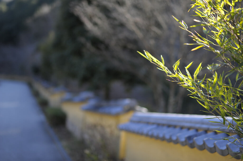 松平郷の写真 ©BONGURI(CC BY-ND 2.0)