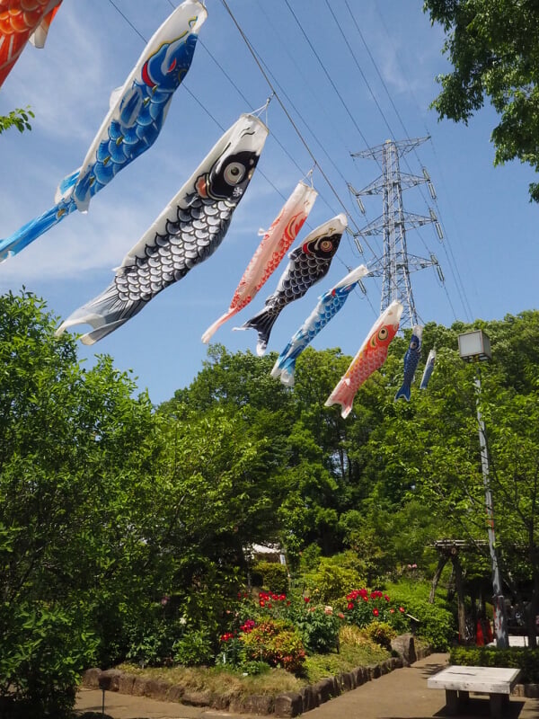 町田ぼたん園の写真 ©senngokujidai4434(CC BY 2.0)